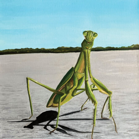 PRAYING MANTIS, 2022